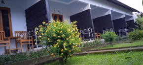 Anak Rinjani Guest House